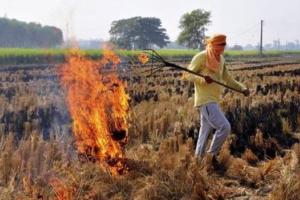 ਜ਼ਿਲ੍ਹਾ ਪ੍ਰਸ਼ਾਸਨ ਦੀ ਸਖ਼ਤੀ, ਝੋਨੇ ਦੀ ਪਰਾਲੀ ਨੂੰ ਅੱਗ ਲਾਉਣ ਵਾਲੇ 23 ਕਿਸਾਨਾਂ ਵਿਰੁੱਧ ਕਾਰਵਾਈ