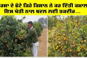 Success Story : ਸਰਸਾ ਦੇ ਛੋਟੇ ਜਿਹੇ ਪਿੰਡ ਦੇ ਕਿਸਾਨ ਨੇ ਕਰ ਦਿੱਤੀ ਕਮਾਲ, ਇਸ ਖੇਤੀ ਨਾਲ ਬਦਲੀ ਆਪਣੀ ਤਕਦੀਰ, ਲੱਖਾਂ ਦੀ ਕਮਾਈ
