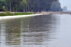 ਲੜਕਾ-ਲੜਕੀ ਨੇ ਨਹਿਰ ’ਚ ਮਾਰੀ ਛਾਲ, ਲੜਕੀ ਦੀ ਲਾਸ਼ ਬਰਾਮਦ