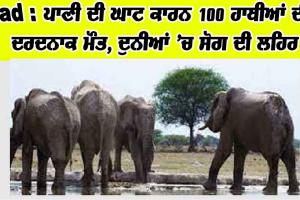Sad : ਪਾਣੀ ਦੀ ਘਾਟ ਕਾਰਨ 100 ਹਾਥੀਆਂ ਦੀ ਦਰਦਨਾਕ ਮੌਤ, ਦੁਨੀਆਂ ’ਚ ਸੋਗ ਦੀ ਲਹਿਰ
