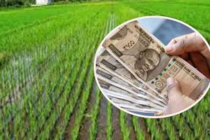 ਝੋਨੇ ਦੀ ਸਿੱਧੀ ਬਿਜਾਈ ਕਰਨ ਵਾਲੇ ਕਿਸਾਨਾਂ ਲਈ 48 ਲੱਖ ਰੁਪਏ ਦੀ ਰਾਸ਼ੀ ਜਾਰੀ, ਚੈਕ ਕਰੋ ਆਪਣੇ ਖਾਤੇ