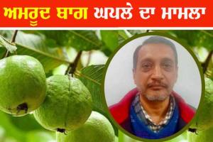 ਅਮਰੂਦ ਬਾਗ ਘੁਟਾਲਾ : ਜਸਪ੍ਰੀਤ ਸਿੱਧੂ ਦਾ ਤਿੰਨ ਦਿਨਾਂ ਦਾ ਰਿਮਾਂਡ ਹੋਰ ਵਧਿਆ