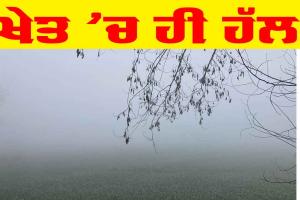 Solution : ਖੇਤ ’ਚ ਹੀ ਹੱਲ