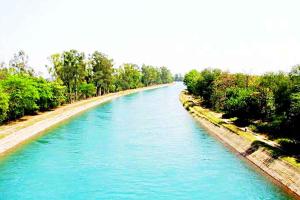 ਫਤਿਹਗੜ੍ਹ ਸਾਹਿਬ ਵਿਖੇ ਭਾਖੜਾ ਨਹਿਰ ’ਚ ਡਿੱਗੀ ਕਾਰ, ਡਰਾਈਵਰ ਦਾ ਨਹੀਂ ਕੋਈ ਸੁਰਾਗ, ਭਾਲ ’ਚ ਲੱਗੇ ਗੋਤਾਖੋਰ