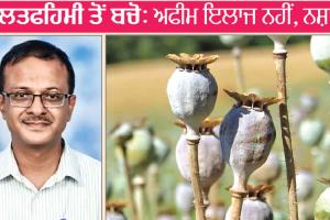 Opium: ਗਲਤਫਹਿਮੀ ਤੋਂ ਬਚੋ, ਇਲਾਜ ਨਹੀਂ, ਨਸ਼ਾ ਹੈ ਅਫੀਮ