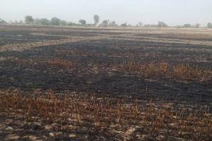 ਖੇਤ ’ਚ ਖੜ੍ਹੀ ਕਣਕ ਨਾਲ ਭਰੀ ਟਰਾਲੀ ਸੜੀ, ਲੱਖਾਂ ਦਾ ਨੁਕਸਾਨ