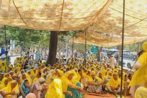ਕਿਸਾਨੀ ਸੰਘਰਸ਼ : ਪੁੱਤ ਖੇਤਾਂ ‘ਚ, ਮਾਵਾਂ ਧਰਨੇ ’ਚ ਡਟੀਆਂ