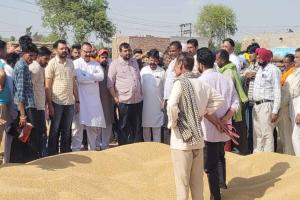 ਵਿਧਾਇਕ ਜਗਦੀਪ ਕੰਬੋਜ ਗੋਲਡੀ ਨੇ ਕੀਤਾ ਵੱਖ-ਵੱਖ ਮੰਡੀਆਂ ਦਾ ਦੌਰਾ