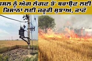 ਕਣਕ ਦੀ ਫਸਲ ਨੂੰ ਅੱਗ ਲੱਗਣ ਤੋਂ ਬਚਾਉਣ ਲਈ ਕਿਸਾਨਾਂ ਲਈ ਖਾਸ ਸੁਝਾਅ, ਜਾਣੋ