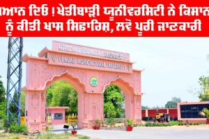 ਧਿਆਨ ਦਿਓ! ਖੇਤੀਬਾੜੀ ਯੂਨੀਵਰਸਿਟੀ ਨੇ ਕਿਸਾਨਾਂ ਕੀਤੀ ਖਾਸ ਸਿਫਾਰਿਸ਼, ਲਵੋ ਪੂਰੀ ਜਾਣਕਾਰੀ