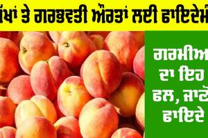 Aadu Fruit Benefits: ਅੱਖਾਂ ਤੇ ਗਰਭਵਤੀ ਔਰਤਾਂ ਲਈ ਫਾਇਦੇਮੰਦ ਹੈ ਗਰਮੀਆਂ ਦਾ ਇਹ ਖਾਸ ਫਲ, ਜਾਣੋ ਫਾਇਦੇ
