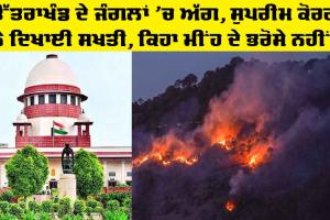 ਉੱਤਰਾਖੰਡ ਦੇ ਜੰਗਲਾਂ ’ਚ ਲੱਗੀ ਅੱਗ ’ਤੇ ਸੁਪਰੀਮ ਕੋਰਟ ਸਖ਼ਤ, ਮੀਂਹ ਜਾਂ ਕਲਾਊਡ ਸੀਡਿੰਗ ਦੇ ਭਰੋਸੇ ਕਦੋਂ ਤੱਕ?