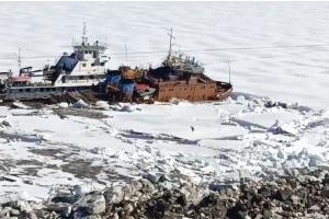 ਰੂਸ ’ਚ ਚਾਰ ਭਾਰਤੀ ਮੈਡੀਕਲ ਵਿਦਿਆਰਥੀ ਨਦੀ ’ਚ ਡੁੱਬੇ