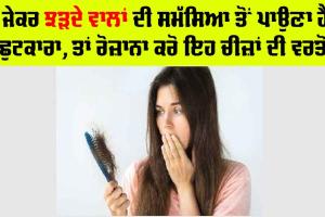Hair Fall In Monsoon: ਜੇਕਰ ਝੜਦੇ ਵਾਲਾਂ ਦੀ ਸਮੱਸਿਆ ਤੋਂ ਪਾਉਣਾ ਹੈ ਛੁਟਕਾਰਾ, ਤਾਂ ਰੋਜ਼ਾਨਾ ਕਰੋ ਇਹ ਚੀਜ਼ਾਂ ਦੀ ਵਰਤੋਂ