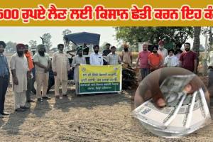 ਝੋਨੇ ਦੀ ਸਿੱਧੀ ਬਿਜਾਈ ਕਰਨ ਵਾਲੇ ਕਿਸਾਨ 1500 ਰੁਪਏ ਲੈਣ ਲਈ ਖੇਤੀਬਾੜੀ ਵਿਭਾਗ ਦੇ ਇਨ੍ਹਾਂ ਨੰਬਰਾਂ ’ਤੇ ਕਰਨ ਸੰਪਰਕ