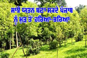 ਸਾਂਝੇ ਯਤਨ ਬਣਾ ਸਕਦੇ ਪੰਜਾਬ ਨੂੰ ਮੁੜ ਤੋਂ ਹਰਿਆ-ਭਰਿਆ