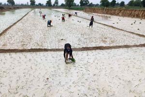 ਭਾਰੀ ਮੀਂਹ ਨਾਲ ਲੋਕਾਂ ਨੂੰ ਰਾਹਤ, ਕਿਸਾਨਾਂ ਦੇ ਚਿਹਰਿਆਂ ’ਤੇ ਚਮਕ