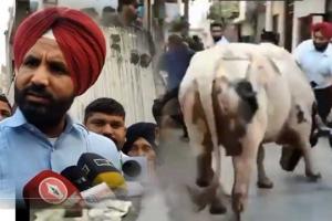 ਮੁਸ਼ਕਿਲ ਨਾਲ ਬਚੇ ਕਾਂਗਰਸ ਪ੍ਰਧਾਨ ਰਾਜਾ ਵੜਿੰਗ, ਸ਼ਾਨ੍ਹ ਨੇ ਕੀਤਾ ਅਚਾਨਕ ਪਿੱਛੋਂ ਹਮਲਾ