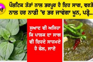 Chaulai Saag Benefits: ਪੌਸ਼ਟਿਕ ਤੱਤਾਂ ਨਾਲ ਭਰਪੂਰ ਹੈ ਇਹ ਸਾਗ, ਵਰਤੋਂ ਨਾਲ ਹਰ ਨਾੜੀ ’ਚ ਭਰ ਜਾਵੇਗਾ ਖੂਨ, ਪੜ੍ਹੋ….