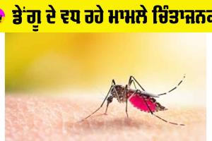 Dengue: ਡੇਂਗੂ ਦੇ ਵਧ ਰਹੇ ਮਾਮਲੇ ਚਿੰਤਾਜਨਕ