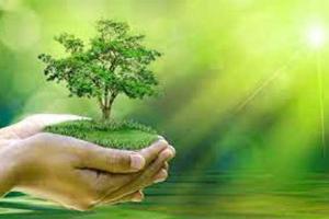 ਗੰਭੀਰ ਚੁਣੌਤੀ ਹੈ ਖੇਤੀ ’ਤੇ ਵਾਤਾਵਰਨ ਬਦਲਾਅ ਦਾ ਅਸਰ