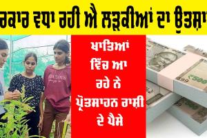 Agriculture : ਇਹ ਸਰਕਾਰ ਲੜਕੀਆਂ ਦੀ ਕਰ ਰਹੀ ਐ ਹੌਸਲਾ ਅਫ਼ਜਾਈ, ਖੇਤੀਬਾੜੀ ਦੀ ਪੜ੍ਹਾਈ ’ਚ ਮਾਰੇ ਮਾਅਰਕੇ