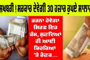 Government Schemes Anucement : ਖੁਸ਼ਖਬਰੀ! ਸਰਕਾਰ ਦੇਵੇਗੀ 30,000 ਰੁਪਏ ਸਾਲਾਨਾ, ਕਰਨਾ ਹੋਵੇਗਾ ਸਿਰਫ਼ ਇਹ ਕੰਮ!
