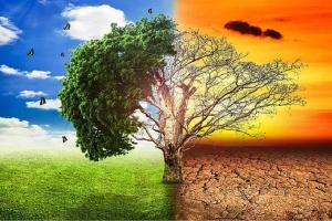 ਕੁਦਰਤ ਦੀ ਸੰਭਾਲ