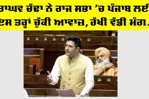 Punjab News: ਸਾਂਸਦ ਰਾਘਵ ਚੱਢਾ ਨੇ ਪੰਜਾਬ ਲਈ ਰੱਖੀ ਵੱਡੀ ਮੰਗ, ਪੜ੍ਹੋ ਤੇ ਜਾਣੋ…