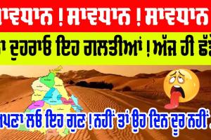 ਸਾਵਧਾਨ! ਨਾ ਕੀਤਾ ਇਹ ਕੰਮ ਤਾਂ ਪਵੇਗਾ ਪਛਤਾਉਣਾ, ਇਸ ਅਨਮੋਲ ਤੋਹਫ਼ੇ ਦੀ ਸੰਭਾਲ ਜ਼ਰੂਰੀ