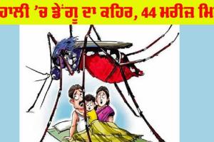 Dengue: ਮੋਹਾਲੀ ’ਚ ਡੇਂਗੂ ਦਾ ਕਹਿਰ, ਪੰਜ ਦਿਨਾਂ ’ਚ 44 ਮਰੀਜ਼ ਮਿਲੇ