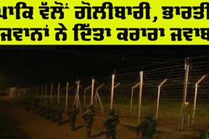 Jammu Kashmir : ਸਰਹੱਦ ‘ਤੇ ਪਾਕਿ ਗੋਲੀਬਾਰੀ ‘ਚ ਬੀਐੱਸਐੱਫ ਦਾ ਜਵਾਨ ਜ਼ਖ਼ਮੀ