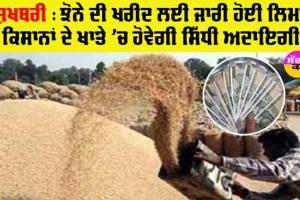 ਕਿਸਾਨਾਂ ਲਈ ਖੁਸ਼ਖਬਰੀ : ਆਰਬੀਆਈ ਨੇ ਪੰਜਾਬ ਲਈ ਜਾਰੀ ਕੀਤੀ ਸੀਸੀਐਲ