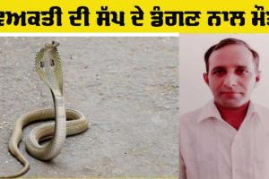 Snake News: ਵਿਅਕਤੀ ਦੀ ਸੱਪ ਦੇ ਡੰਗਣ ਨਾਲ ਮੌਤ
