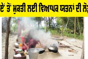 Smoke : ਧੂੰਏਂ ਤੋਂ ਮੁਕਤੀ ਲਈ ਵਿਆਪਕ ਯਤਨਾਂ ਦੀ ਲੋੜ