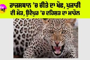 ਚੀਤੇ ਦੇ ਹਮਲੇ ਕਾਰਨ ਪੁਜਾਰੀ ਦੀ ਮੌਤ, ਹੁਣ ਤੱਕ 6 ਮੌਤਾਂ, ਉਦੈਪੁਰ ’ਚ ਦਹਿਸ਼ਤ