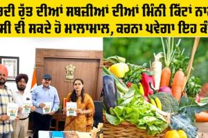 Winter Vegetables: ਸਰਦੀ ਰੁੱਤ ਦੀਆਂ ਸਬਜ਼ੀਆਂ ਦੀਆਂ ਇਨ੍ਹਾਂ ਮਿੰਨੀ ਕਿੱਟਾਂ ਨਾਲ ਤੁਸੀਂ ਪੈਦਾ ਕਰ ਸਕਦੇ ਹੋ 400 ਕਿੱਲੋ ਤਾਜ਼ੀ ਸਬਜ਼ੀ :  ਡੀਸੀ 