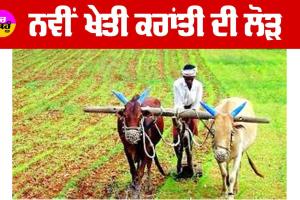 ਨਵੀਂ ਖੇਤੀ ਕਰਾਂਤੀ ਦੀ ਲੋੜ