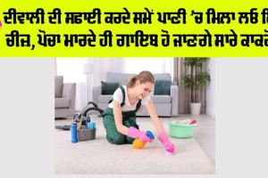 Diwali Cleaning Ideas 2024: ਦੀਵਾਲੀ ਦੀ ਸਫਾਈ ਕਰਦੇ ਸਮੇਂ ਪਾਣੀ ’ਚ ਮਿਲਾ ਲਓ ਇਹ ਚੀਜ਼, ਪੋਚਾ ਮਾਰਦੇ ਹੀ ਗਾਇਬ ਹੋ ਜਾਣਗੇ ਸਾਰੇ ਕਾਕਰੋਚ