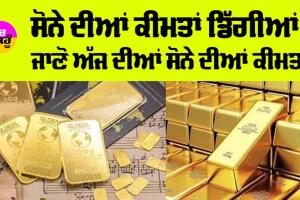 Gold Price Today: ਸੋਨੇ ਦੀਆਂ ਕੀਮਤਾਂ ਡਿੱਗੀਆਂ, ਜਾਣੋ ਅੱਜ ਦੇ MCX ਸੋਨੇ ਦੀਆਂ ਕੀਮਤਾਂ