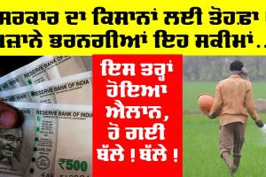 Government Schemes: ਕਿਸਾਨਾਂ ਦੇ ਖਜ਼ਾਨੇ ਭਰਨ ਲਈ ਸਰਕਾਰ ਨੇ ਲਿਆ ਵੱਡਾ ਫ਼ੈਸਲਾ, ਹੋਵੇਗੀ ਬੱਲੇ! ਬੱਲੇ!