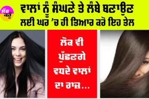 Hair Care: ਵਾਲਾਂ ਨੂੰ ਸੰਘਣੇ ਤੇ ਲੰਬੇ ਬਣਾਉਣ ਲਈ ਘਰ ’ਚ ਹੀ ਤਿਆਰ ਕਰੋ ਇਹ ਤੇਲ, ਲੋਕ ਵੀ ਪੁੱਛਣਗੇ ਵਧਦੇ ਵਾਲਾਂ ਦਾ ਰਾਜ਼…