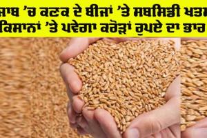 Punjab News: ਪੰਜਾਬ ’ਚ ਕਣਕ ਦੇ ਬੀਜਾਂ ’ਤੇ ਸਬਸਿਡੀ ਖਤਮ, ਕਿਸਾਨਾਂ ’ਤੇ ਪਵੇਗਾ ਕਰੋੜਾਂ ਰੁਪਏ ਦਾ ਭਾਰ