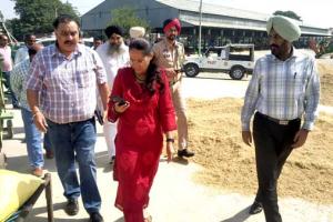 Paddy Procurement : ਡਿਪਟੀ ਕਮਿਸ਼ਨਰ ਵੱਲੋਂ ਨਾਭਾ ਮੰਡੀ ਦਾ ਦੌਰਾ, ਝੋਨੇ ਦੀ ਖਰੀਦ ਦਾ ਜਾਇਜ਼ਾ ਲਿਆ