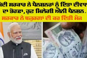 Pension News: ਸਰਕਾਰ ਨੇ 80 ਤੋਂ ਵੱਧ ਪੈਨਸ਼ਨਰਾਂ ਲਈ ਕੀਤਾ ਵਾਧੂ ਪੈਨਸ਼ਨ ਦਾ ਐਲਾਨ, ਪੜ੍ਹੋ ਪੂਰੀ ਸਕੀਮ…