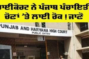 Punjab Panchayat Elections: ਹਾਈਕੋਰਟ ਨੇ ਪੰਜਾਬ ਪੰਚਾਇਤੀ ਚੋਣਾਂ ’ਤੇ ਲਾਈ ਰੋਕ