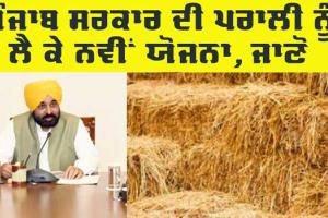 Punjab News: ਪਰਾਲੀ ਨੂੰ ਸਾੜਨ ਤੋਂ ਰੋਕਣ ਲਈ ਸਰਕਾਰ ਦੀ ਨਵੀਂ ਯੋਜਨਾ, ਜਾਣੋ
