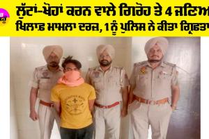 ਲੁੱਟਾਂ-ਖੋਹਾਂ ਕਰਨ ਵਾਲੇ ਗਿਰੋਹ ਦੇ 4 ਜਣਿਆਂ ਖਿਲਾਫ ਮਾਮਲਾ ਦਰਜ, 1 ਗ੍ਰਿਫਤਾਰ