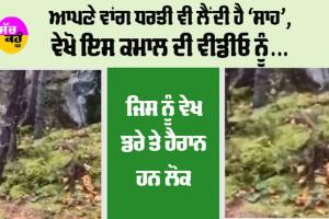 Trending News: ਆਪਣੇ ਵਾਂਗ ਧਰਤੀ ਵੀ ਲੈਂਦੀ ਹੈ ‘ਸਾਹ’, ਵੇਖੋ ਇਹ ਕਮਾਲ ਦੀ ਵੀਡੀਓ ਨੂੰ, ਜਿਸ ਨੂੰ ਵੇਖ ਡਰੇ ਤੇ ਹੈਰਾਨ ਹਨ ਲੋਕ…