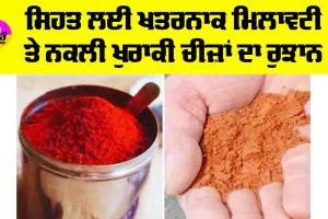 Artificial Food Items: ਸਿਹਤ ਲਈ ਖ਼ਤਰਨਾਕ ਮਿਲਾਵਟੀ ਤੇ ਨਕਲੀ ਖੁਰਾਕੀ ਚੀਜ਼ਾਂ ਦਾ ਰੁਝਾਨ